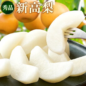 【ふるさと納税】＜2026年先行予約＞ 梨 新高梨 約 1.8kg 4〜7玉 約 5kg 6〜16玉 約 10kg 12〜32玉 熊本県産 日本フルーツ株式会社《9月上旬-10月上旬頃出荷》熊本県 長洲町 新高梨 なし ナシ 和梨 果物 フルーツ スイーツ デザート ギフト ご贈答