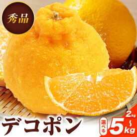 【ふるさと納税】デコポン 選べる 内容量 約2kg〜約5kg 日本フルーツ株式会社 熊本県 長洲町 《1月下旬-2月末頃出荷予定》 デコポン 果物 秀品 フルーツ スイーツ デザート ギフト ご贈答