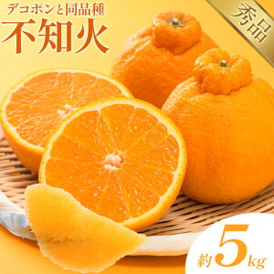 yӂ邳Ɣ[Łzsm΁ifR|ij Iׂ e 2kg`5kg {t[c F{ F s1{-2oח\t fR| ʕ Gi t[c XC[c fU[g 