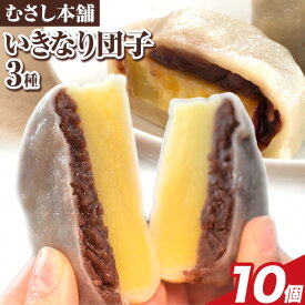 【ふるさと納税】 お菓子 スイーツ むさし本舗の いきなり団子 10個 20個 30個 (黒粒あん 黒こしあん 白あん ) 団子 さつまいも 和菓子 特産品 郷土料理 お土産 ギフト 熊本県 長洲町《60日以内に出荷予定(土日祝除く)》