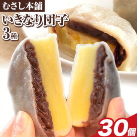 【ふるさと納税】 お菓子 スイーツ むさし本舗の いきなり団子 10個 20個 30個 (黒粒あん 黒こしあん 白あん ) 団子 さつまいも 和菓子 特産品 郷土料理 お土産 ギフト 熊本県 長洲町《60日以内に出荷予定(土日祝除く)》