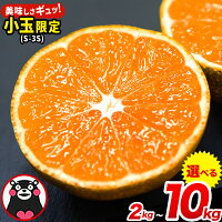 【ふるさと納税】みかん 訳あり 小玉 くまもと小玉みかん 2kg 5kg ...