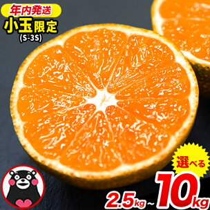 先行予約 みかん 訳あり 小玉 くまもと小玉みかん 2.5...