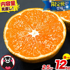 【ふるさと納税】 〈内容量見直し！〉みかん 訳あり 小玉 くまもと小玉みかん 3kg 6kg 10kg 12kg 他 ご家庭用 熊本県産 S-3Sサイズ フルーツ 旬 柑橘 長洲町 温州みかん 定期便 ミカン 蜜柑 早生 中生 晩生 おすそ分け 《9月～12月出荷予定》