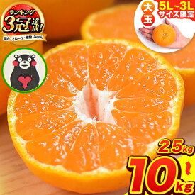 【ふるさと納税】 みかん 訳あり 熊本 大粒みかん 約2.5kg 約5kg 約10kg(3L〜5Lサイズ)大玉 みかん 先行予約 10キロ 傷 約10kg たっぷり 熊本県産 熊本県 期間限定 フルーツ 旬 柑橘 長洲町 大粒みかん《2026年1月中旬-2月末頃出荷》