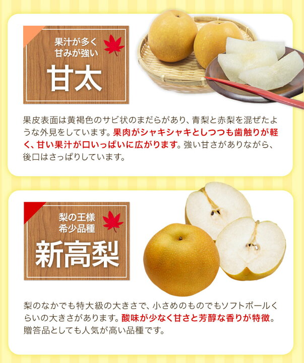 信州の梨 豊水 約5キロ 果汁たっぷりジューシーな梨