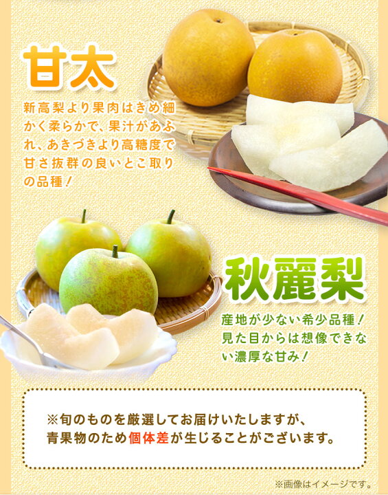 信州の梨約5kg 水分たっぷりジューシーな梨です お届け