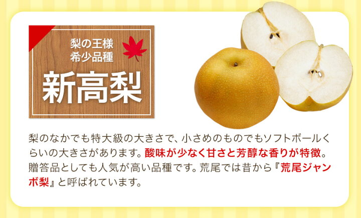 新入荷 流行 ふるさと納税 越知町 大きくて甘い 越知町の新高梨 Apprisen Com