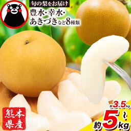 ＜2026年先行予約＞ 梨 くまもと梨 秋 旬 なし 幸水...