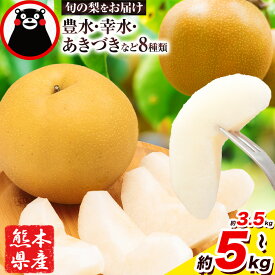 【ふるさと納税】＜2026年先行予約＞ 梨 くまもと梨 秋 旬 なし 幸水 豊水 先行 果物 くだもの フルーツ 送料無料 あきづき 甘太 新高 新興 約3.5kg 5玉〜15玉前後 熊本県産【着日指定不可】《8月下旬-11月中旬頃出荷》旬 果物 お取り寄せ ナシ