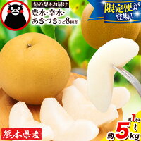 ふるさと納税 梨 なし 幸水 豊水 先行 果物 くだもの フルーツ ナシ ...