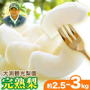 yӂ邳Ɣ[Łz基ό n (Â V V ̂ꂩ) Gi 3kg (5`8) ܂ 5kgi8`18ʁj F{FY s30ȓɏoח\(yj)t