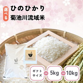 【ふるさと納税】選べる 銘柄 内容量 定期回数 熊本県産 ひのひかり or 訳あり 菊池川流域米 5kg or 10kg or キューブギフト ｜ 米 ひのひかり オリジナル米 複数原料米 単一原料米国産 熊本県 和水町