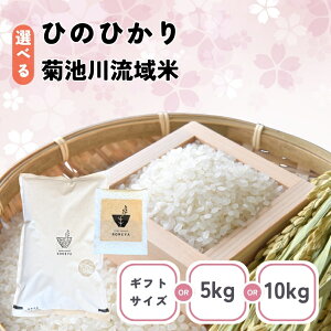 �y�ӂ邳�Ɣ[�Łz�I�ׂ� ���� ���e�� ����� �F�{���Y �Ђ̂Ђ��� or �󂠂� �e�r�여��� 5kg or 10kg or �L���[�u�M�t�g �b �� �Ђ̂Ђ��� �I���W�i���� ���������� �P�ꌴ���č��Y �F�{�� �a