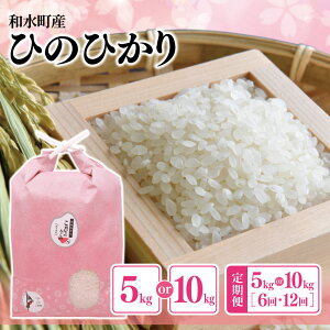 yӂ邳Ɣ[ŁzF{YuЂ̂Ђv5kg or 10kg  Ђ̂Ђ Y F{ a