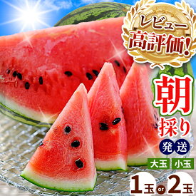 【ふるさと納税】 R8年産 先行予約 受付 | 売切御免 | ★4.6以上 大玉 小玉 スイカ 赤色 1玉 2玉 すいか or 訳ありスイカ 【 2026年 4月中旬 〜 6月末 頃まで順次発送 】西瓜 果物 フルーツ 熊本県 和水町 くまもと 産地直送 農家直送 石原農園 美味 朝摘み 野菜 オススメ