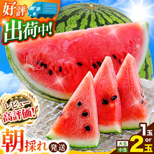 小玉スイカ順次出荷中 | 売切御免 | ★4.6以上 大...