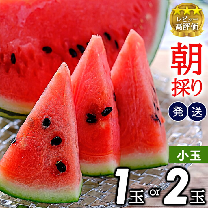 楽天市場】【ふるさと納税】【先行予約】 ☆4.5以上 小玉 スイカ 1玉 2 