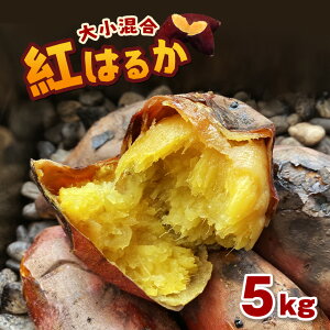 yӂ邳Ɣ[Łzy s\ z܂ 5kg g͂邩   Y F{ a ܂ƌ Ï 炢 Tc}C 񂵂  H@ۖLx