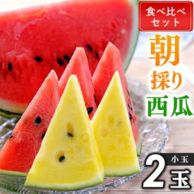 【ふるさと納税】 好評 出荷中 ！ 食べ比べ 小玉 スイカ（ 黄色 ・ 赤色 ）2玉 【 2025年5月下旬〜6月末頃まで順次発送 】スイカ すいか 果物 フルーツ 黄色 すいか 国産　熊本県 和水町 くまもと なごみ 数量限定 夏 定番