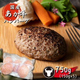 【ふるさと納税】 旨味濃縮あか牛100％ハンバーグ (150g×5個）750g あか牛 ハンバーグ 肉 赤牛 牛肉 加工品 加工肉 大容量 小分け 国産 熊本県 和水町