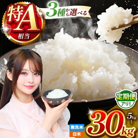 【ふるさと納税】 特A 米 【 R7年産 】 選べる 人気品種 定期便 | 令和7年産米 予約 熊本県産 森のくまさん ひのひかり くまさんの輝き 白米 無洗米 米 お米 こめ 5kg 10kg 15kg 20kg 25kg 30kg 定期便 | 熊本 和水町 単一米 単一原料米 ご飯 飯 rice kome not 訳あり
