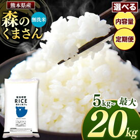 【ふるさと納税】 令和5年産 熊本県産 森のくまさん 無洗米 乾式無洗米 5kg 10kg 15kg 20kg 定期便 3回 6回 12回 米