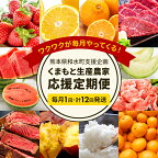  くまもと 生産 農家 応援 定期便 ( 定期便 12回 ( 毎月 ) ) フルーツ さつまいも メロン 小玉スイカ 小玉 スイカ 不知火 馬刺し いちご みかん あか牛 ステーキ 火の本豚 柑橘類 国産 熊本県 和水町 豚肉 コロナ支援 農家支援