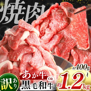 yӂ邳Ɣ[Łz 󂠂 F{Y  or јa ē ؂藎Ƃ Iׂe   400g `  1.2kg | F{ a ܂ Ȃ    ̐ԋ XCX Ⓚ ؗ