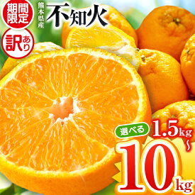【ふるさと納税】【訳あり】ご家庭用 不知火 10kg 熊本県 柑橘 フルーツ