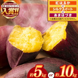 【ふるさと納税】 さつまいも ( 蜜芋 ) 約 2kg ～ 10kg 密芋 シルクスイート or 紅はるか or あまはづき 野菜 大容量 国産 熊本県 和水町　訳あり くまもと県 甘藷 からいも サツマイモ かんしょ 芋 大小混合 サイズ混合 傷 スレ 食物繊維豊富