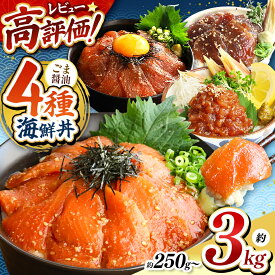 【ふるさと納税】 4種 海鮮丼 | 選べる まぐろ サーモン カツオ ネギトロ 選べる 種類 内容量 定期便 約 250g ～ 約 1.5kg | 熊本県 和水町 ごま 醤油 魚 海鮮 肥後 海鮮丼 スライス 冷凍 漬け さかな 漬け丼 小分け 数量限定 人気 海産物 水産加工 鮪 ご飯 冷凍食品