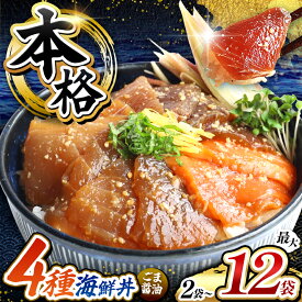 【ふるさと納税】 本格！ごま醤油 海鮮丼 まぐろ サーモン ブリ カツオ 選べる 種類 内容量 | 熊本県 和水町 くまもと なごみ 魚 海鮮 肥後 海鮮丼 スライス 冷凍 漬け さかな 漬け丼 小分け 数量限定 人気 熊本県 人気 海産物 水産加工 鮪