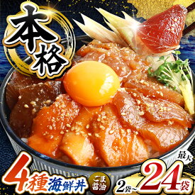 【ふるさと納税】 本格！ごま醤油 海鮮丼 まぐろ サーモン カツオ ネギトロ 選べる 種類 内容量 | 熊本県 和水町 くまもと なごみ 魚 海鮮 肥後 海鮮丼 スライス 冷凍 漬け さかな 漬け丼 小分け 数量限定 人気 熊本県 人気 海産物 水産加工 鮪