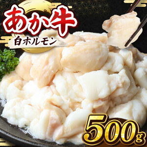 yӂ邳Ɣ[Łz  z v500g ( 250g×2pbN ) | n n  Ԑg nh  hg Ԑ؂ e Ⓚ  ɂ jN F{ a
