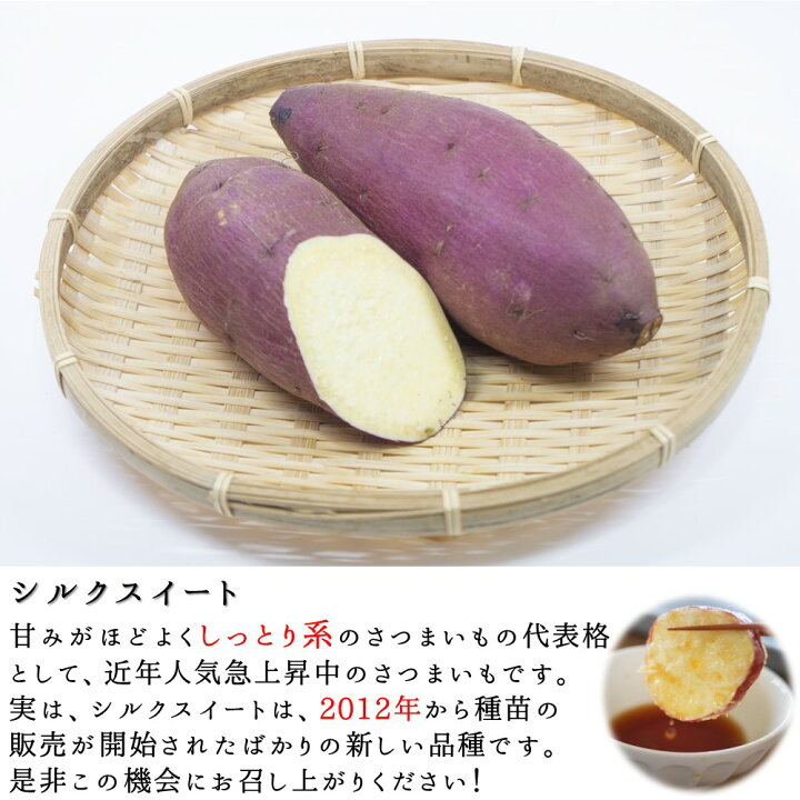 ふるさと納税 さつまいも ( 蜜芋 ) 約10kg( 5kg × 2箱 )密芋 シルクスイート 紅はるか 野菜 大容量 国産 熊本県 和水町 訳あり くまもと県 甘藷 からいも サツマイモ かんしょ 芋 大小混合 サイズ混合 傷 スレ 食物繊維豊富 : 熊本県和水町 ふるさと納税 さつまいも ( 蜜芋 ) 約10kg( 5kg × 2箱 )密芋 シルクスイート 紅はるか 野菜 大容量 国産 熊本県 和水町 訳あり くまもと県 甘藷 からいも サツマイモ かんしょ 芋 大小混合 サイズ混合 傷 スレ 食物繊維豊富 : 熊本県和水町