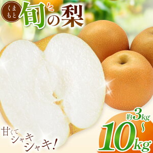 yӂ邳Ɣ[ŁzIׂe ܂ {   3kg E  5kg E  10kg | ʕ t[c Ȃ L z H H Â V Ñ F{ a