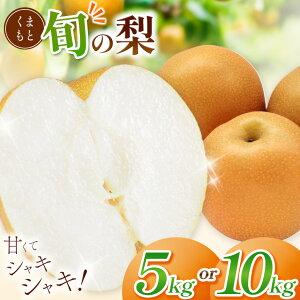 �y�ӂ邳�Ɣ[�Łz�y ��s�\�� �z�I�ׂ���e�� ���܂��� �{�� �� �� 5kg �E �� 10kg | �ʕ� �t���[�c �Ȃ� �L�� �z�� �H�� �H�� �����Â� �V�� �Ñ� �F�{�� �ʖ��s