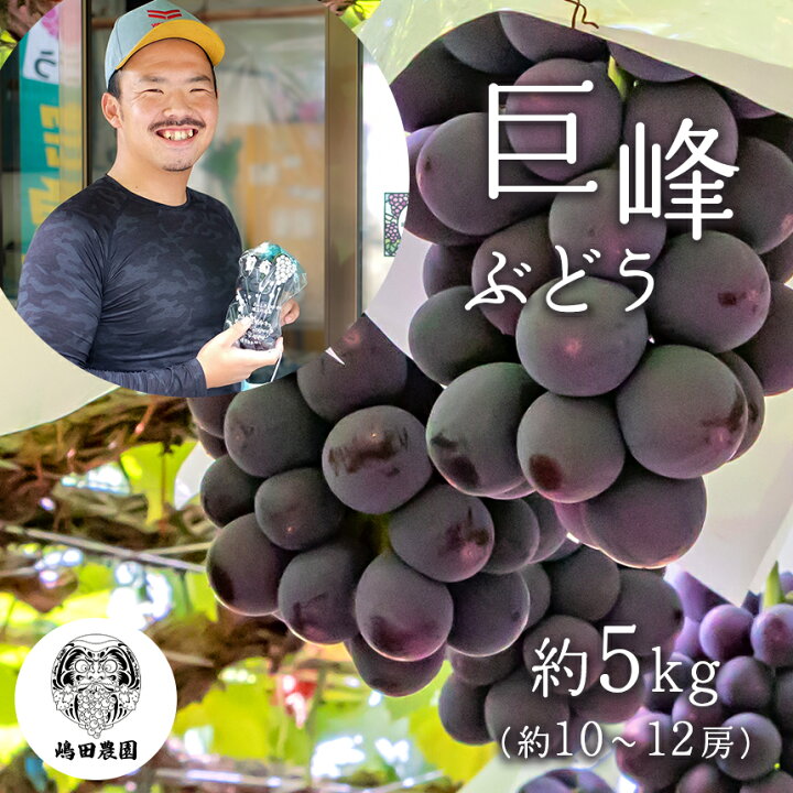 楽天市場】【ふるさと納税】巨峰 ぶどう 約5kg ぶどう 巨峰 果物 