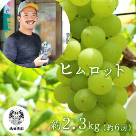 【ふるさと納税】熊本県産ぶどう ヒムロット ＜7月下旬より順次発送予定＞ 和水町 ぶどう 果物 フルーツ ヒムロット 朝摘み 直送