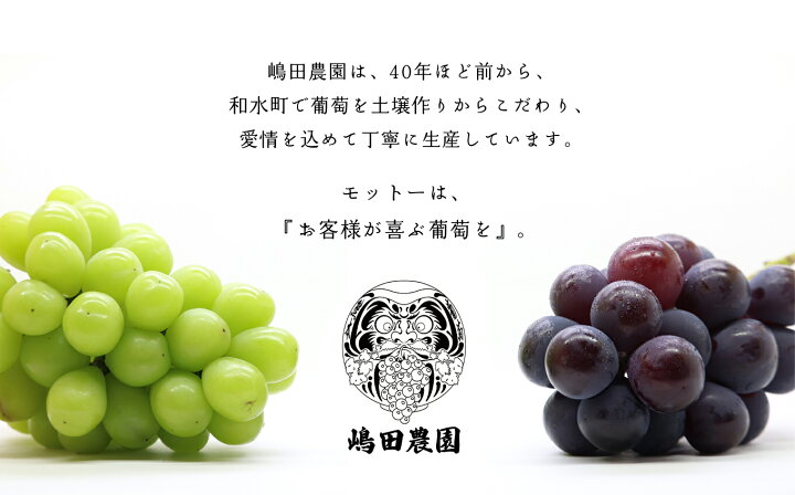 楽天市場】【ふるさと納税】巨峰 ぶどう 約5kg ぶどう 巨峰 果物 