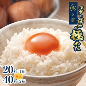 【ふるさと納税】 たまご 【たまごと匠】 赤玉 20粒 40粒 | 熊本県 熊本 くまもと 和水町 なごみ 卵 タマゴ 赤玉 20粒 40粒 TKG 贈答用 化粧箱