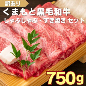 yӂ邳Ɣ[Łz󂠂 ܂ƍјa Ԃ Ă 750g Zbg y A4 ~ A5 z | F{ a [X  o XCX ؂藎Ƃ