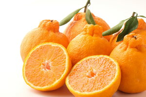 yӂ邳Ɣ[Łzy s\ z Iׂe sm  2kg ` 5kg | fR| ʂ t[c a ʕ F{Y F{ F{ ܂ a Ȃ݂܂ Ȃ k ʕ t[c