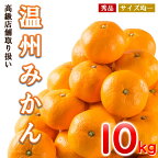 温州みかん 和水町産 10kg みかん 柑橘 熊本 くまもと 秀品 産地直送 熊本復興 人気 温州 なごみまち