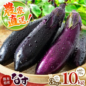 【ふるさと納税】 【 期間限定 】 選べる内容量 なす 約 3kg ～ 約 10kg 国産 熊本県 和水町 |＜発送期間：2026年5月頃〜11月下旬頃まで＞ 野菜 なすび 熊本県産 夏野菜