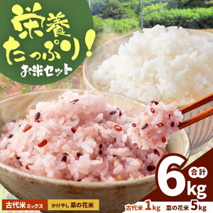 �y�ӂ邳�Ɣ[�Łz ���������؂̉ԕāi 5kg �j�� �Ñ�ă~�b�N�X�i 1kg �j �Z�b�g �b ���Y �F�{�� �a���� ���͂� �֗� �� �t�[�h���X ���܂���