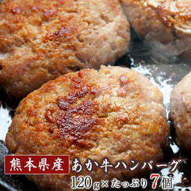 【ふるさと納税】あか牛ハンバーグ 熊本産あか牛を使用した贅沢ハンバーグたっぷり7個入り 熊本あか牛 赤牛 あかうし《7-14日以内に出荷予定(土日祝除く)》