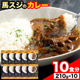 【ふるさと納税】たっぷり！馬スジカレー 10食セット《60日以内に出荷予定(土日祝除く)》馬スジ カレー お肉 馬すじ カレーライス 馬肉 贈答 ギフト グルメ お取り寄せ 熊本県 大津町 送料無料 個包装 大人気 簡単調理