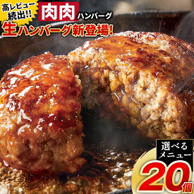 【ふるさと納税】ハンバーグ 鉄板焼き 肉肉ハンバーグ 選べるソース デミグラスソース ジャポネソース 食べ比べ 20個 3《出荷時期をお選びください》熊本県 国産 牛肉 豚肉 鶏肉 ハンバーグ 専門店監修 小分け デミ ジャポネ 肉